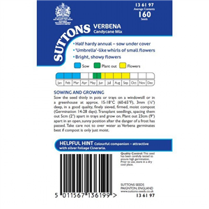 Verbena Candycane Mix